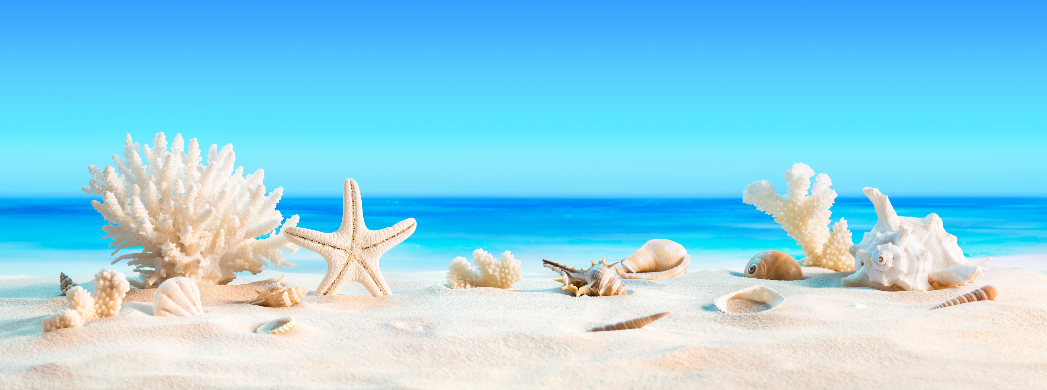 photo of a beach